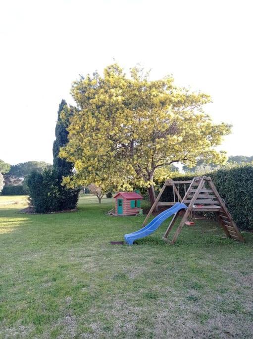La Casina Di Campagna Tra Cecina E Bibbona Villa Luaran gambar