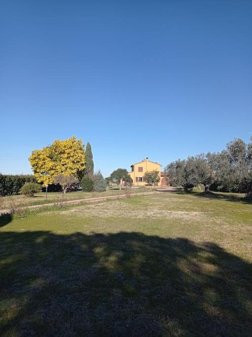 La Casina Di Campagna Tra Cecina E Bibbona Villa Luaran gambar