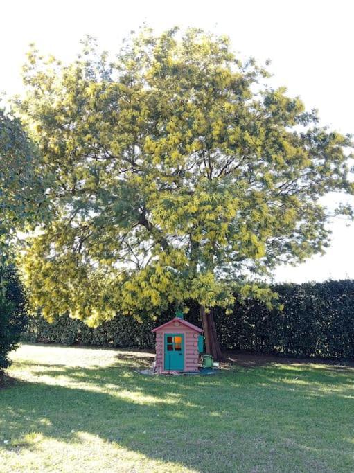 La Casina Di Campagna Tra Cecina E Bibbona Villa Luaran gambar