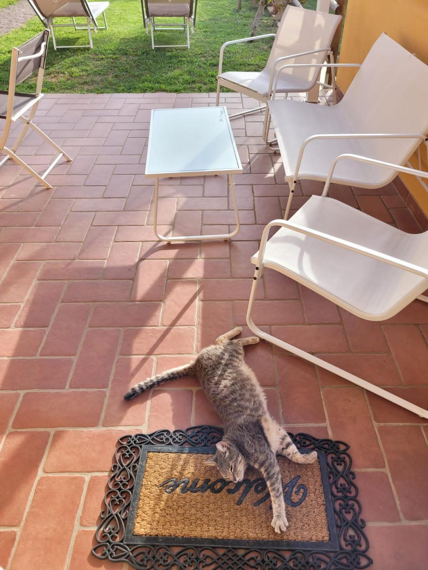 La Casina Di Campagna Tra Cecina E Bibbona Villa Luaran gambar